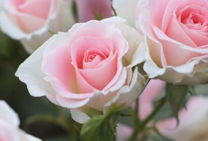 �̎�����ʲô������m��