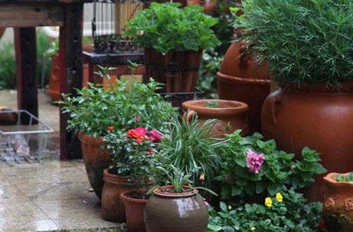 1555912311483074.jpg 1.jpg