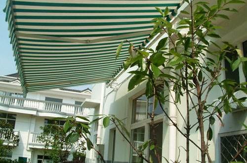 1555912337604854.jpg 2.jpg