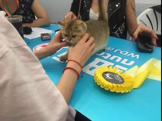 如圖片無法顯示,請刷新頁面