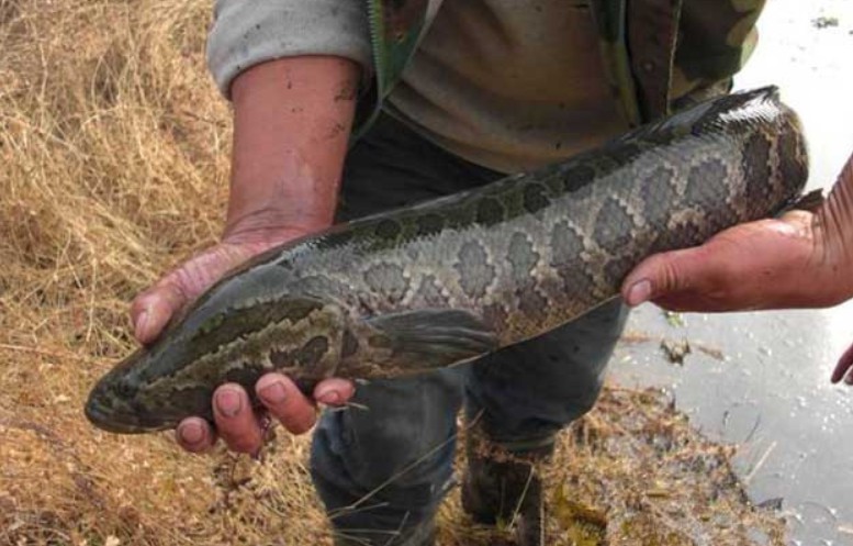 ���~��ô�B(y��ng)