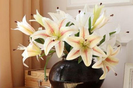 ˮ��ٺϻ����Bֳ����