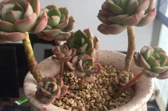 �����Ϙ���ô�B(y��ng)