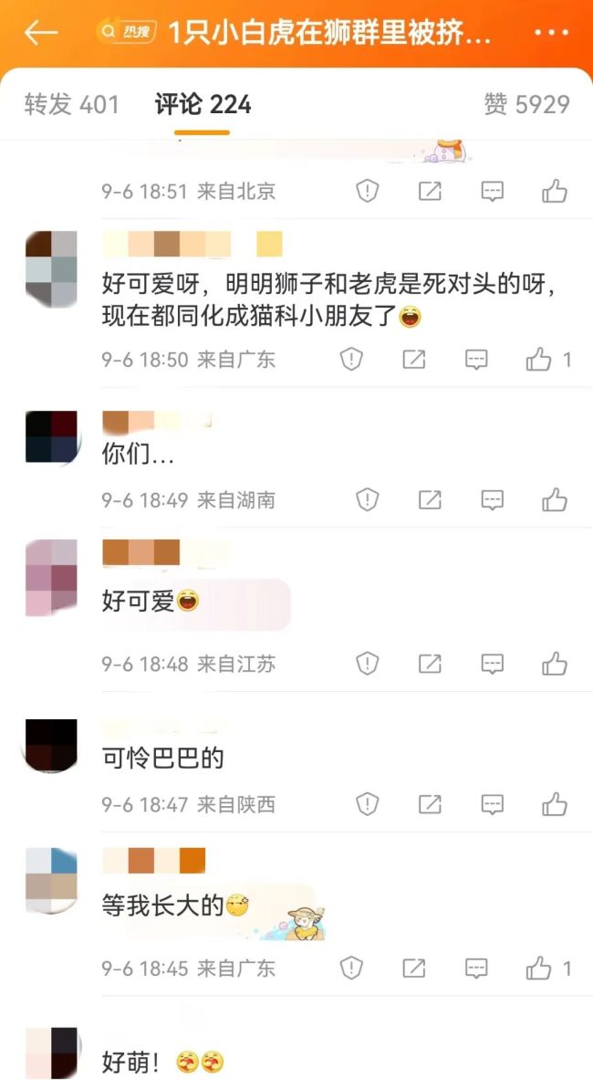 �Ȼ��ˣ�����1ֻС�׻��ڪ{Ⱥ�ﱻ�D���y�u��