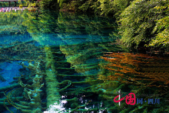 “清涼九寨溝新玩法”—全域九寨一日游線路推出