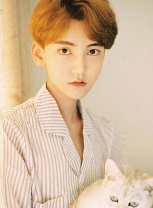 ���ɿ��ּt���Y�Ͻ�B �������ɼ�ͥ������Ƥ