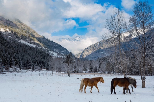達古冰山被評為“2017年四川最值得期待的旅游目的地”