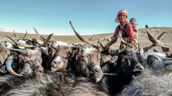 ��2016����֮ͫ���Ї������������Ĵ�ِ���A�M��Ļ