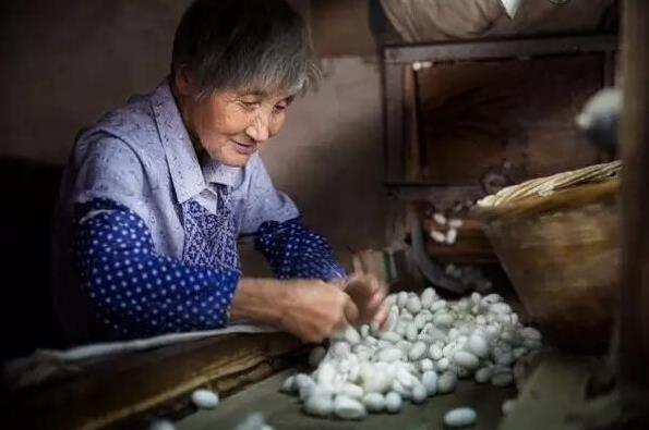 千年絲韻百年產(chǎn)業(yè) 絲綢文化旅游在南充發(fā)芽